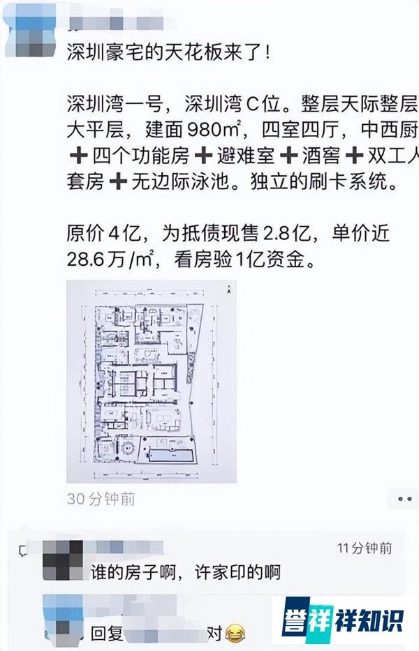 2.7亿元！喜茶创始人抄底接盘许家印980平豪宅是什么情况?