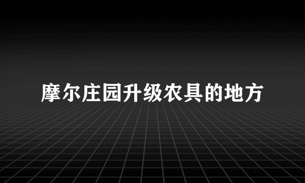 摩尔庄园升级农具的地方