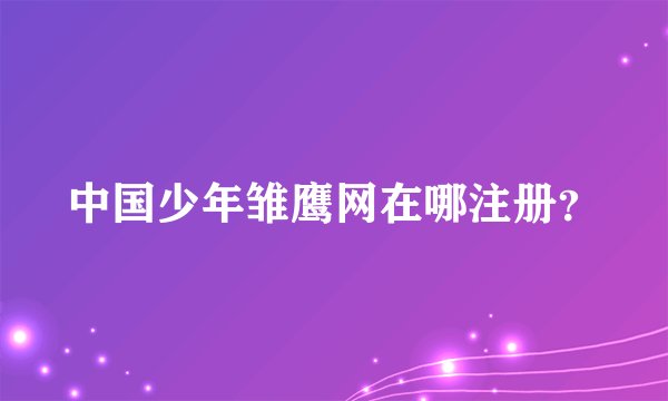 中国少年雏鹰网在哪注册？
