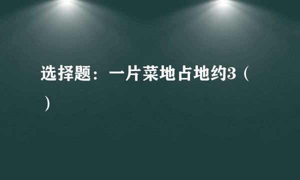 选择题：一片菜地占地约3（）