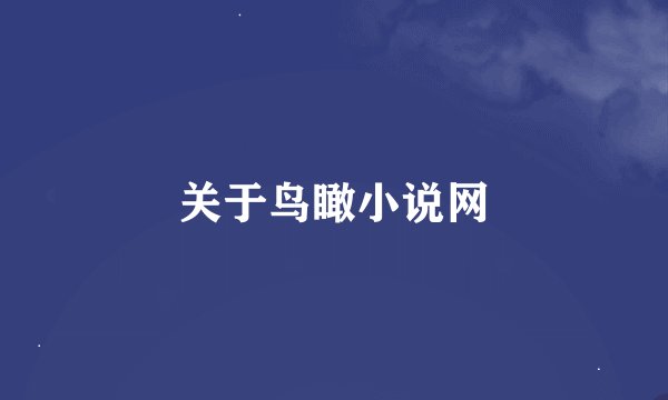 关于鸟瞰小说网
