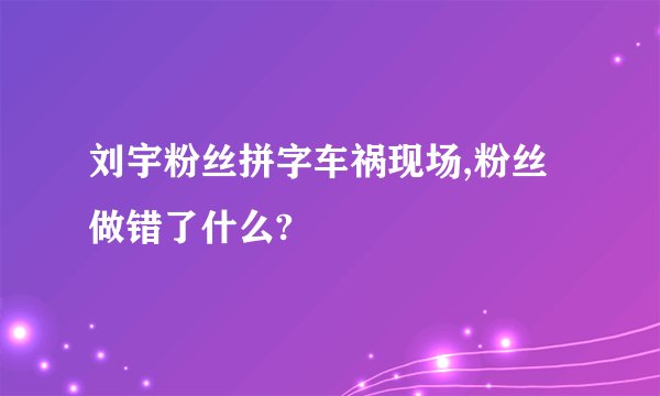 刘宇粉丝拼字车祸现场,粉丝做错了什么?