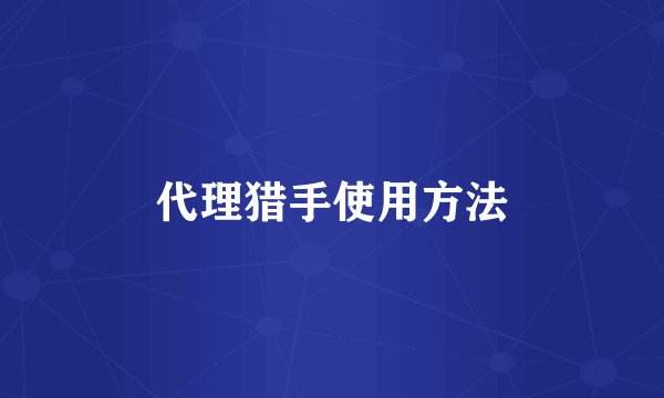 代理猎手使用方法