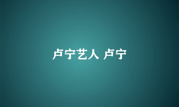 卢宁艺人 卢宁