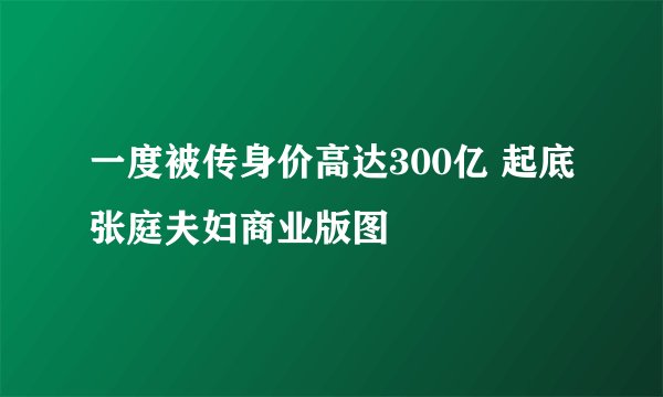 一度被传身价高达300亿 起底张庭夫妇商业版图