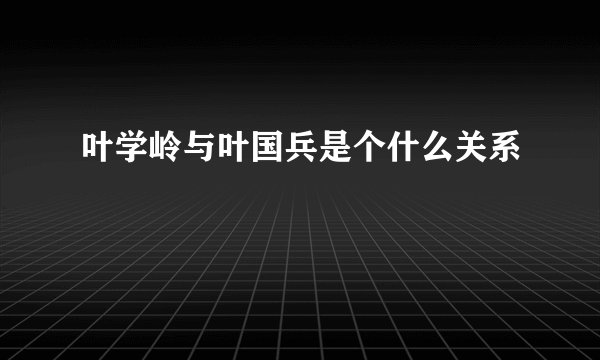 叶学岭与叶国兵是个什么关系
