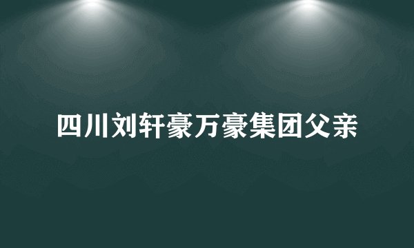 四川刘轩豪万豪集团父亲