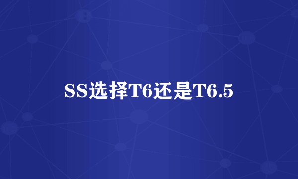 SS选择T6还是T6.5