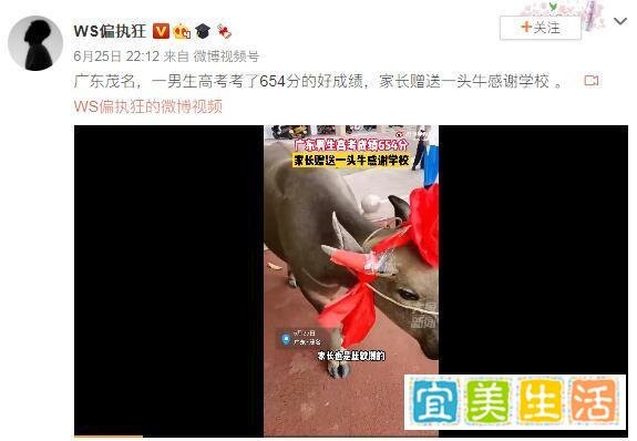 高考654分 家长送牛感谢学校 这是咋情况？