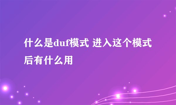 什么是duf模式 进入这个模式后有什么用