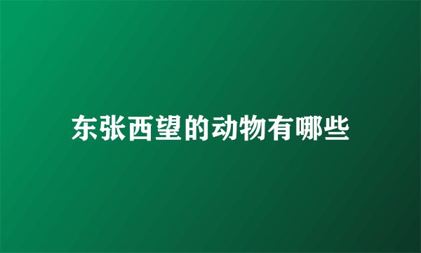 东张西望的动物有哪些