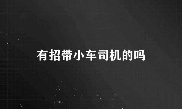有招带小车司机的吗