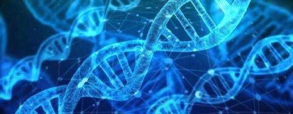 医美巨头伊美尔赴港上市?终于上市的伊美尔为啥是不赚钱的生意?