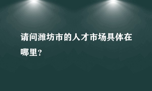 请问潍坊市的人才市场具体在哪里?