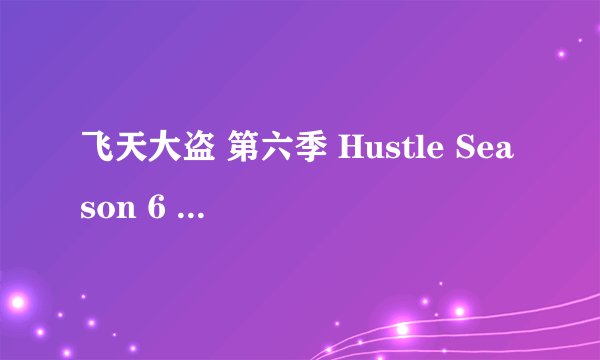 飞天大盗 第六季 Hustle Season 6 (2010)全集未删减高清版免费下载