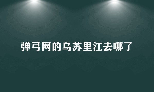 弹弓网的乌苏里江去哪了