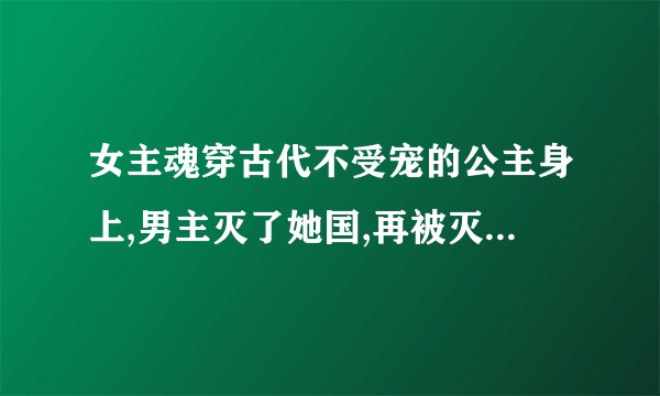 女主魂穿古代不受宠的公主身上,男主灭了她国,再被灭的时候,皇帝的妃