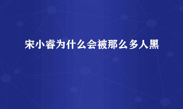 宋小睿为什么会被那么多人黑