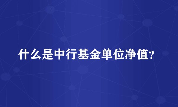 什么是中行基金单位净值？