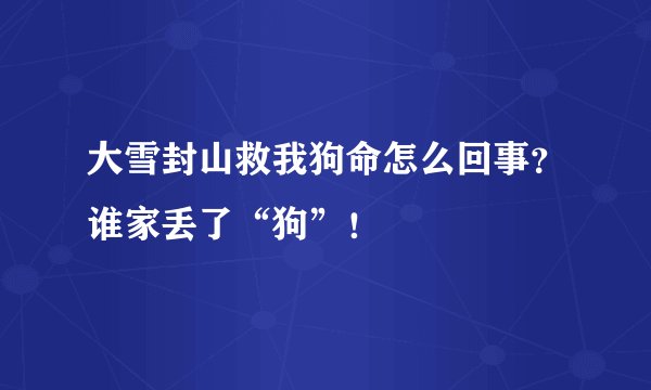 大雪封山救我狗命怎么回事？谁家丢了“狗”！