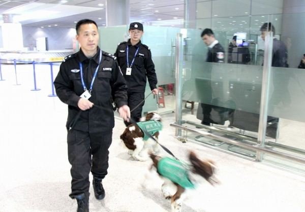 男子机场发飙用一沓钞票砸保安，最后下场如何？