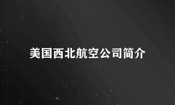 美国西北航空公司简介