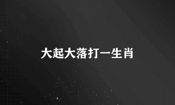 大起大落打一生肖