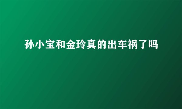 孙小宝和金玲真的出车祸了吗