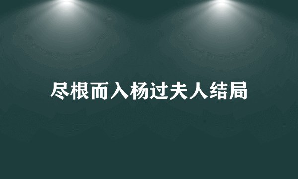 尽根而入杨过夫人结局