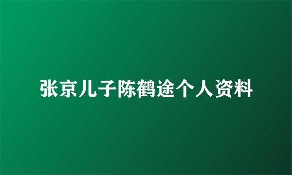 张京儿子陈鹤途个人资料