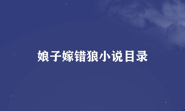 娘子嫁错狼小说目录