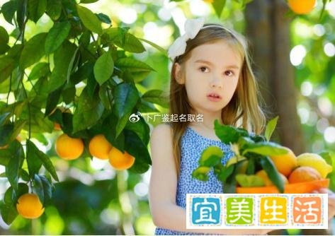 乙巳年出生的女宝宝改名测名：聪颖灵动、雅韵天成的女孩名字推荐