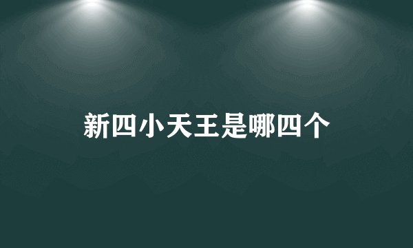 新四小天王是哪四个