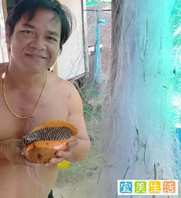 全球仅200颗的“龙珠”，泰国卡车司机又捡一颗，价值数千万