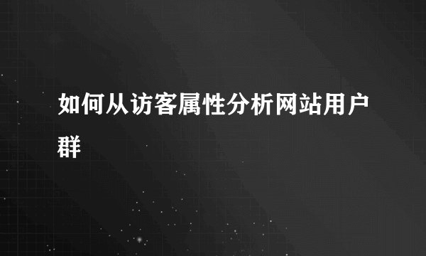 如何从访客属性分析网站用户群