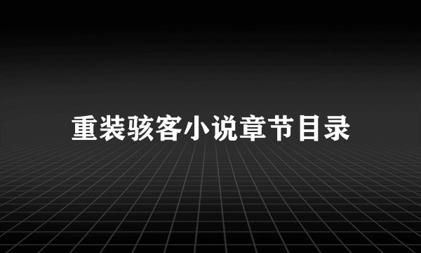 重装骇客小说章节目录