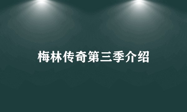 梅林传奇第三季介绍