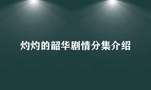 灼灼的韶华剧情分集介绍