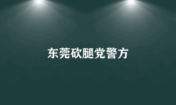 东莞砍腿党警方