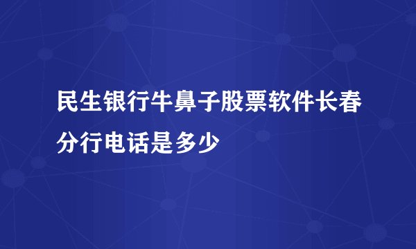 民生银行牛鼻子股票软件长春分行电话是多少