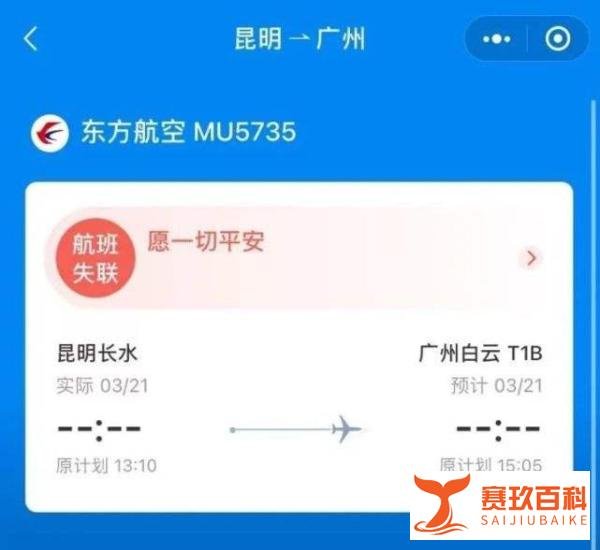 ?救援东航客机133人的广西村民：飞机解体找不到人，树上有布条