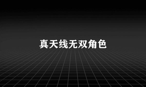 真天线无双角色
