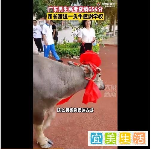 高考654分 家长送牛感谢学校 这是咋情况?