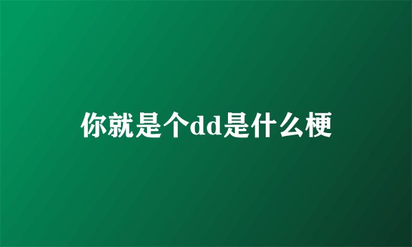 你就是个dd是什么梗