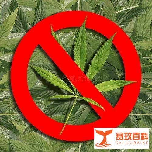 嘻哈圈地震，说唱冠军Nafla吸毒被捕！