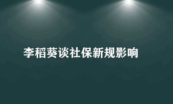 李稻葵谈社保新规影响㇏
