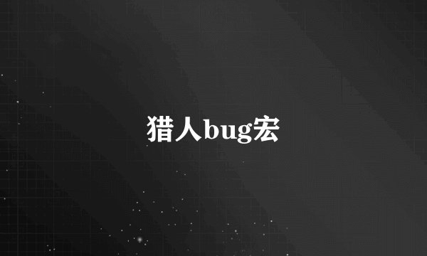 猎人bug宏