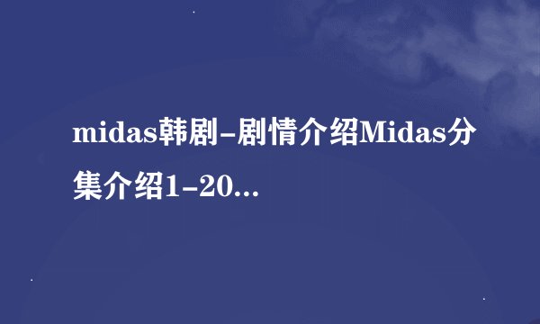 midas韩剧-剧情介绍Midas分集介绍1-20集大结局