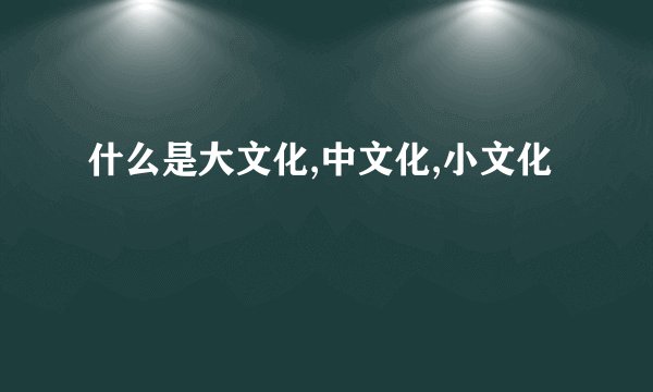 什么是大文化,中文化,小文化