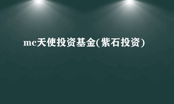 mc天使投资基金(紫石投资)